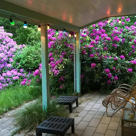 Swedish-inspired In Odden's Forest 別荘 *