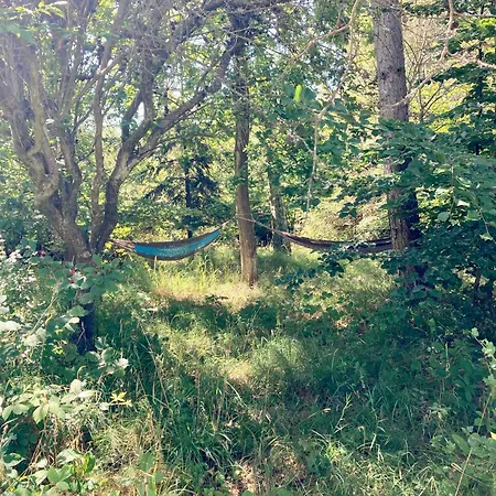 Nyaraló Swedish-inspired In Odden's Forest Tjørneholm