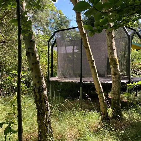 Swedish-inspired In Odden's Forest