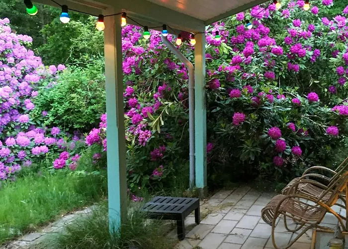 Swedish-inspired In Odden's Forest 別荘 *